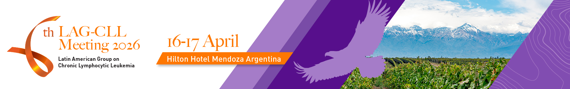 6th LAG-CLL Meeting 2026